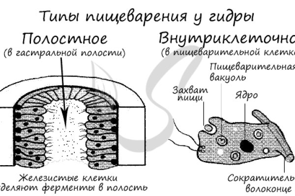 Гидра зеркало официальный