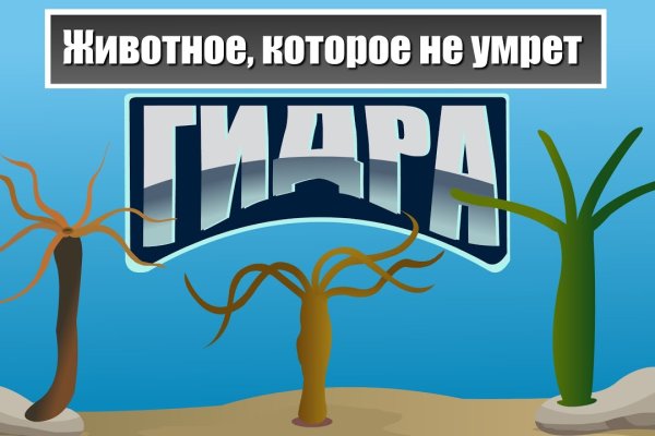 Кракен площадка тор