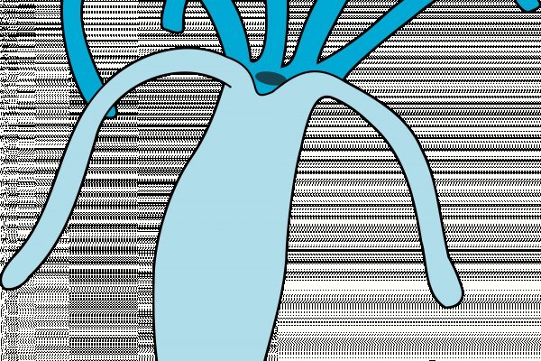 Гидра сайт в тор браузере ссылка