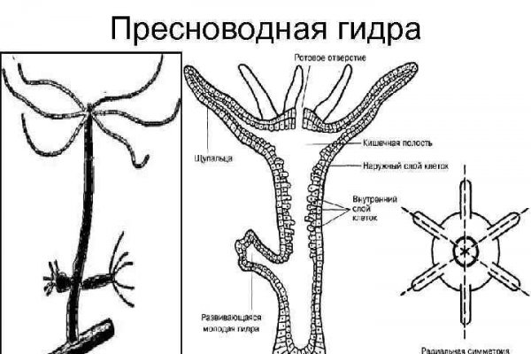 Кракен онион как зайти