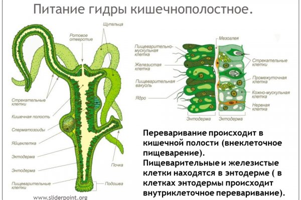 Ссылки на даркмаркеты